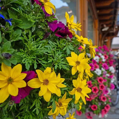 Alpenrose Hotel Livigno