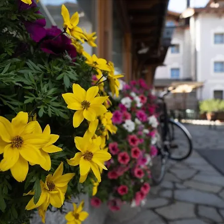 Alpenrose Livigno
